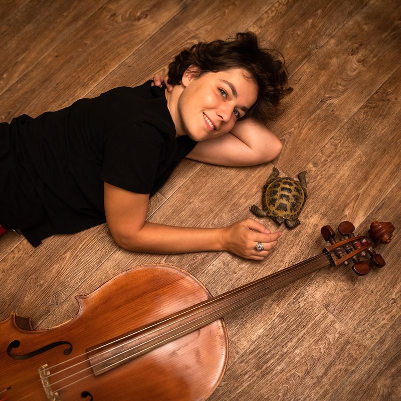 Саша, виолончель, кото и черепаха по имени Медея. фото превью