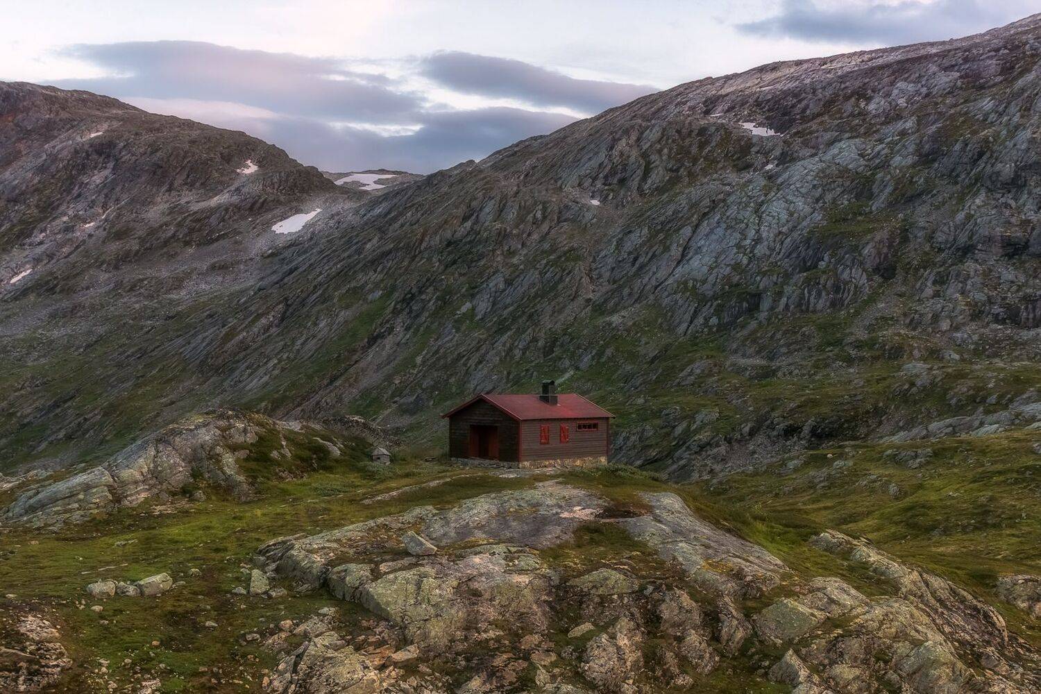 , Лариса Дука