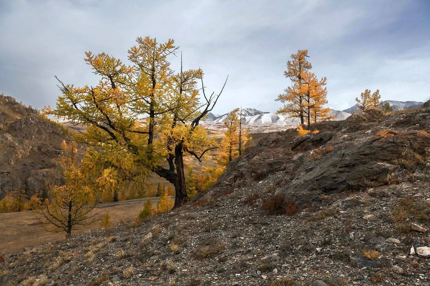 Алтай, осень, непогода, Фомина Марина