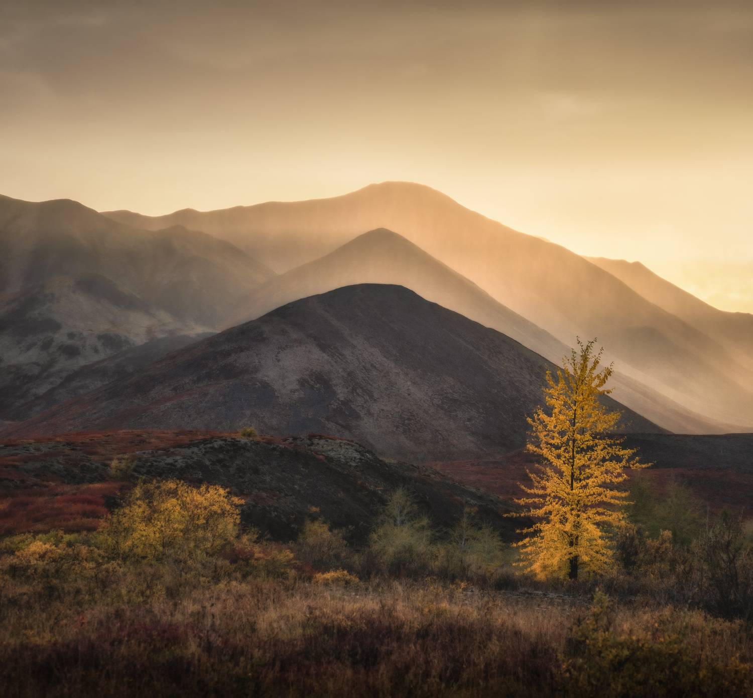 якутия, Андрей Грачев