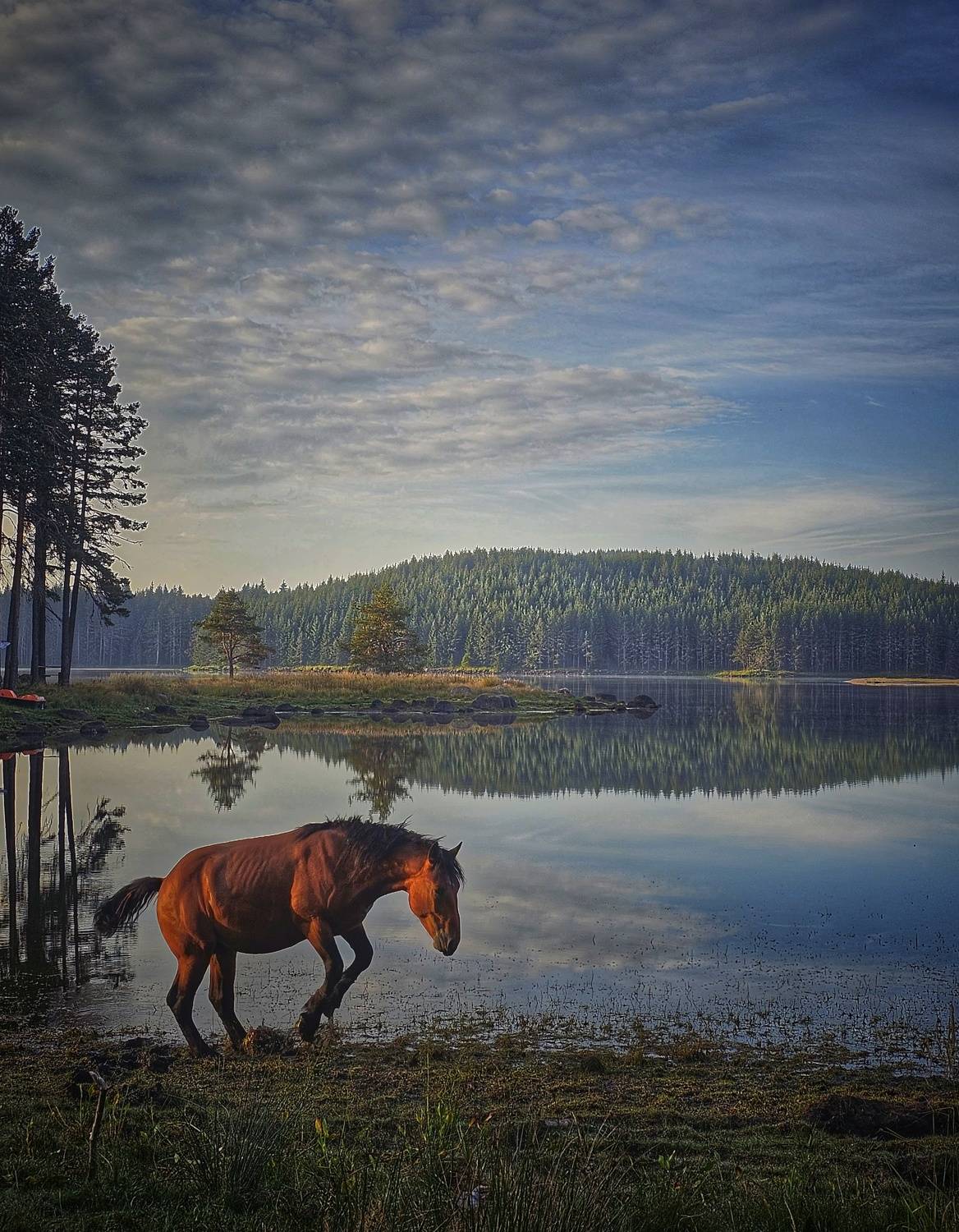 , Герчев Николай