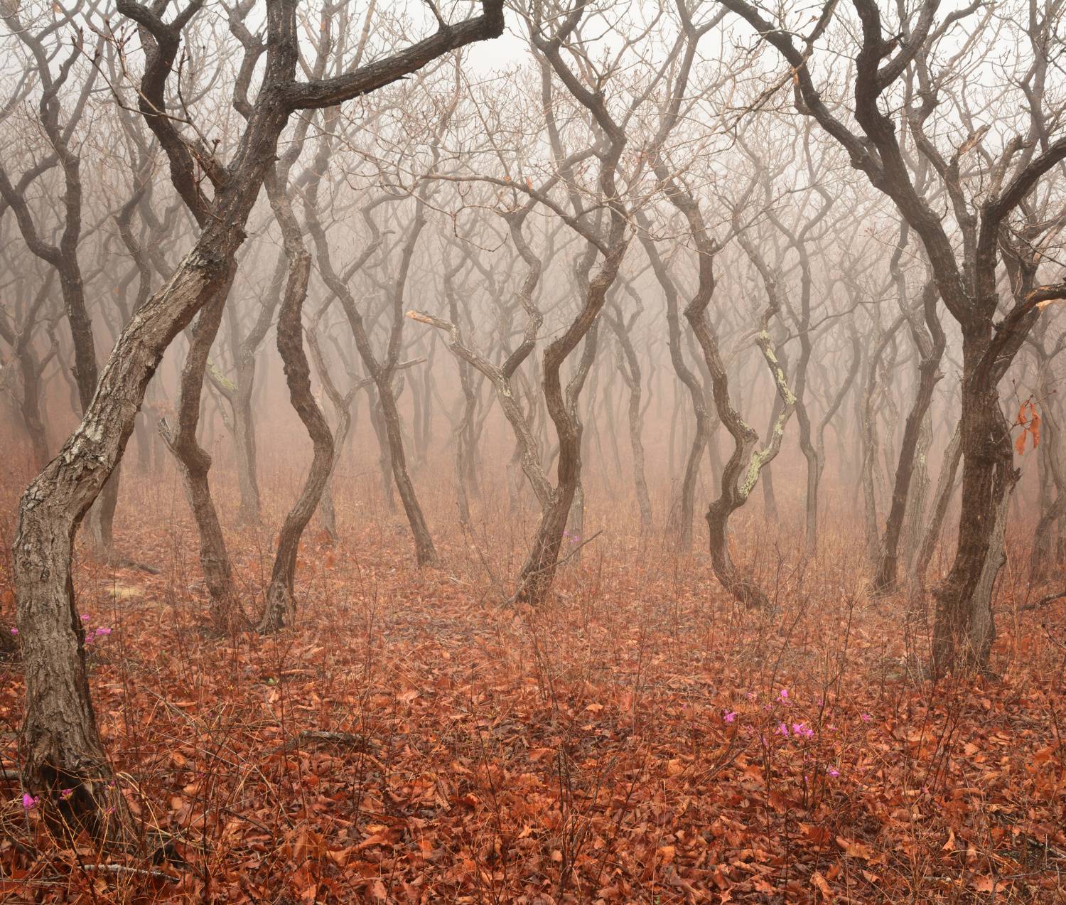 приморский край, Едуш Сергей