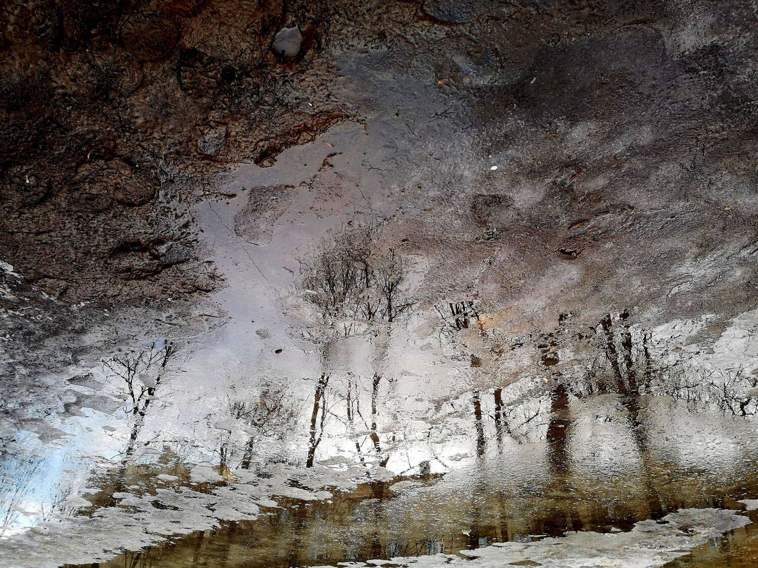 , Антон Лаба