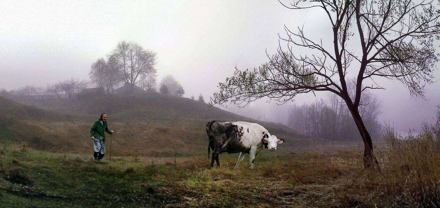 утро,туман,деревня., sasha yudin