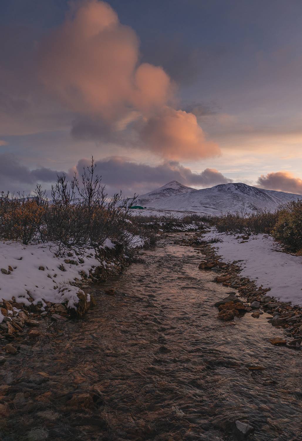 , Андреев Николай