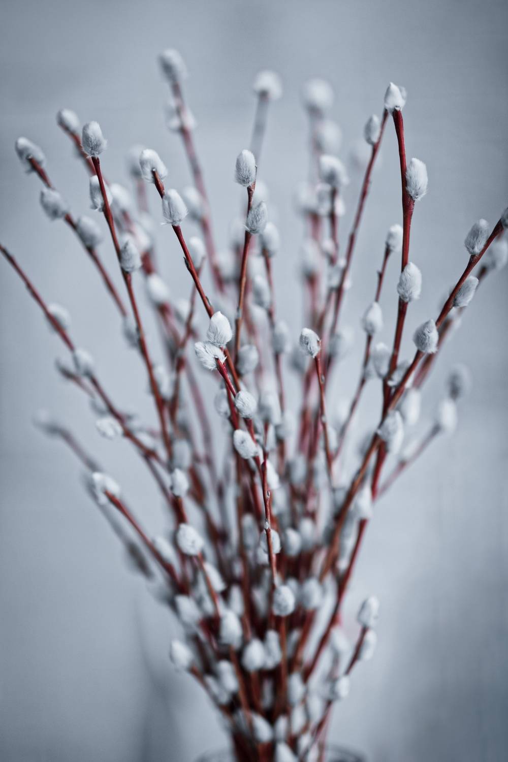 , Murat Kuzhakhmetov