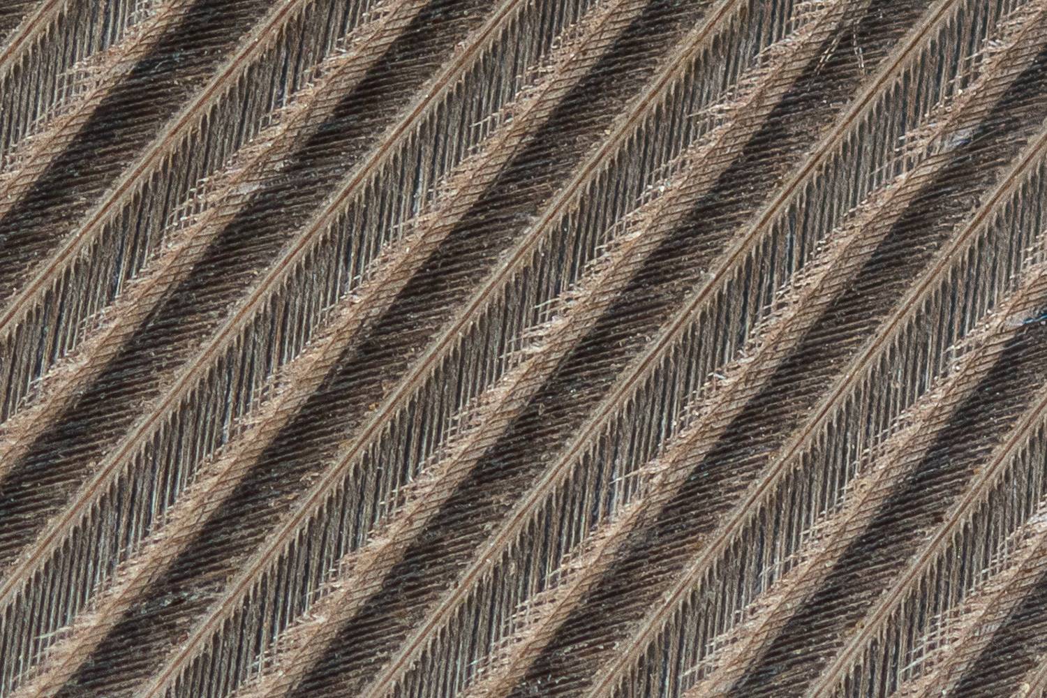 перо, птица, макро, Вячеслав Мельников