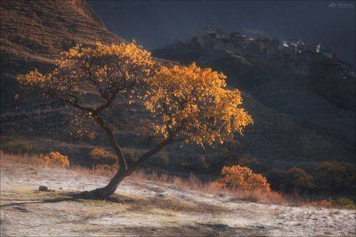 Игра на контрасте