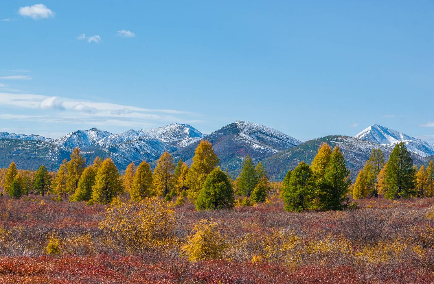 , Андрей Загребельный