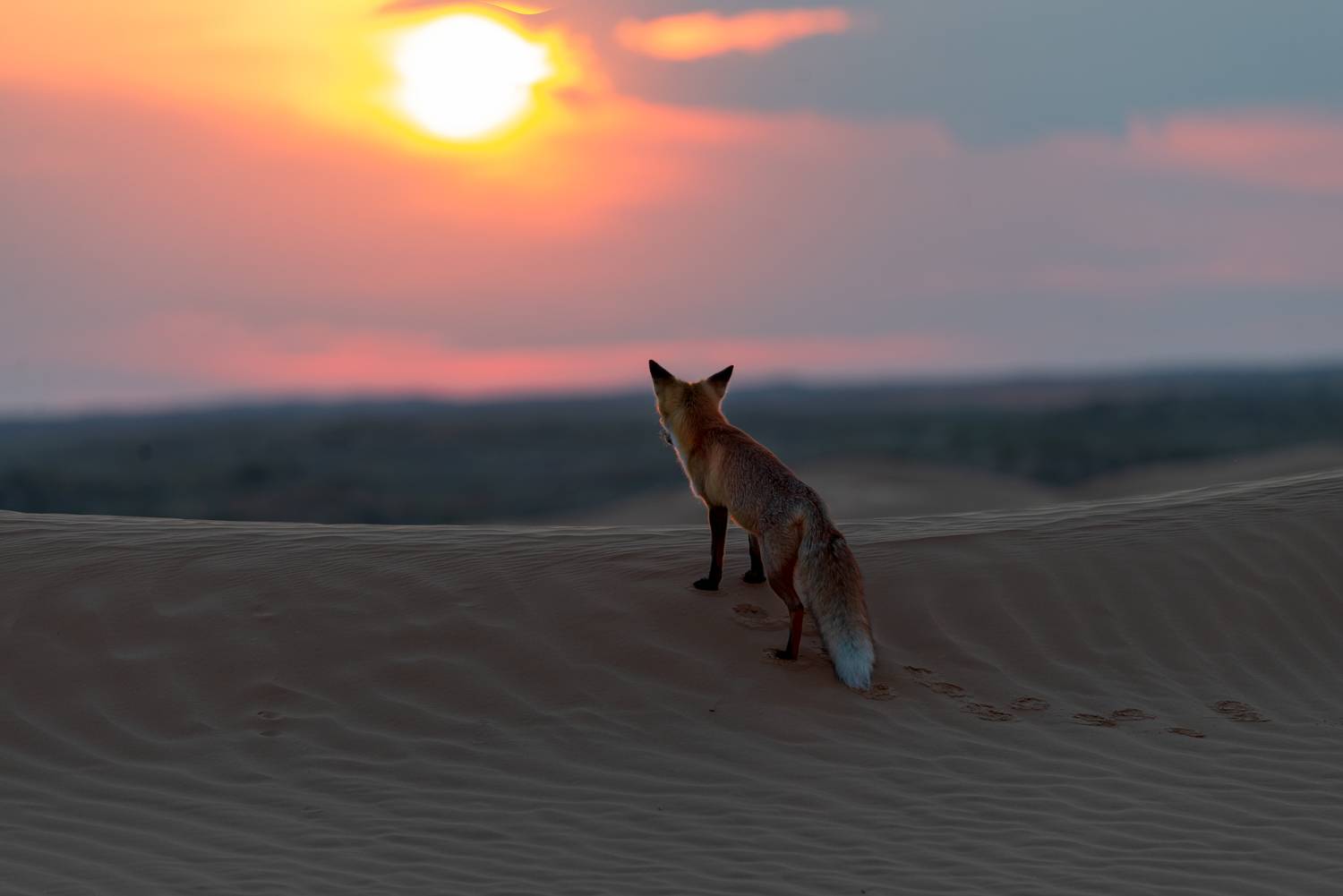 , Эдуард Гордеев