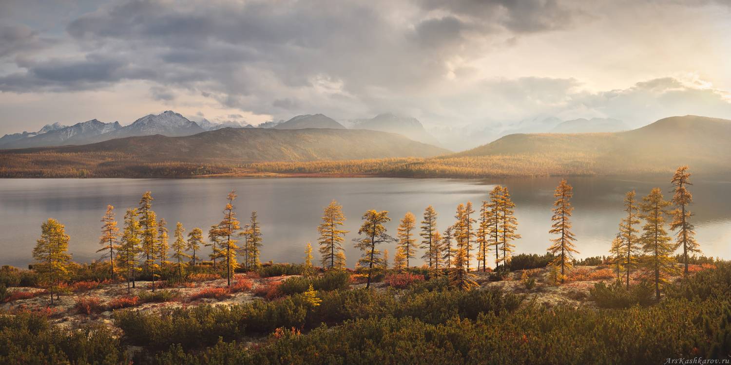 колыма, дальний восток, магаданская область, озеро джека лондона, краски осени, золотая осень, лесотундра, коса биологов, Арсений Кашкаров
