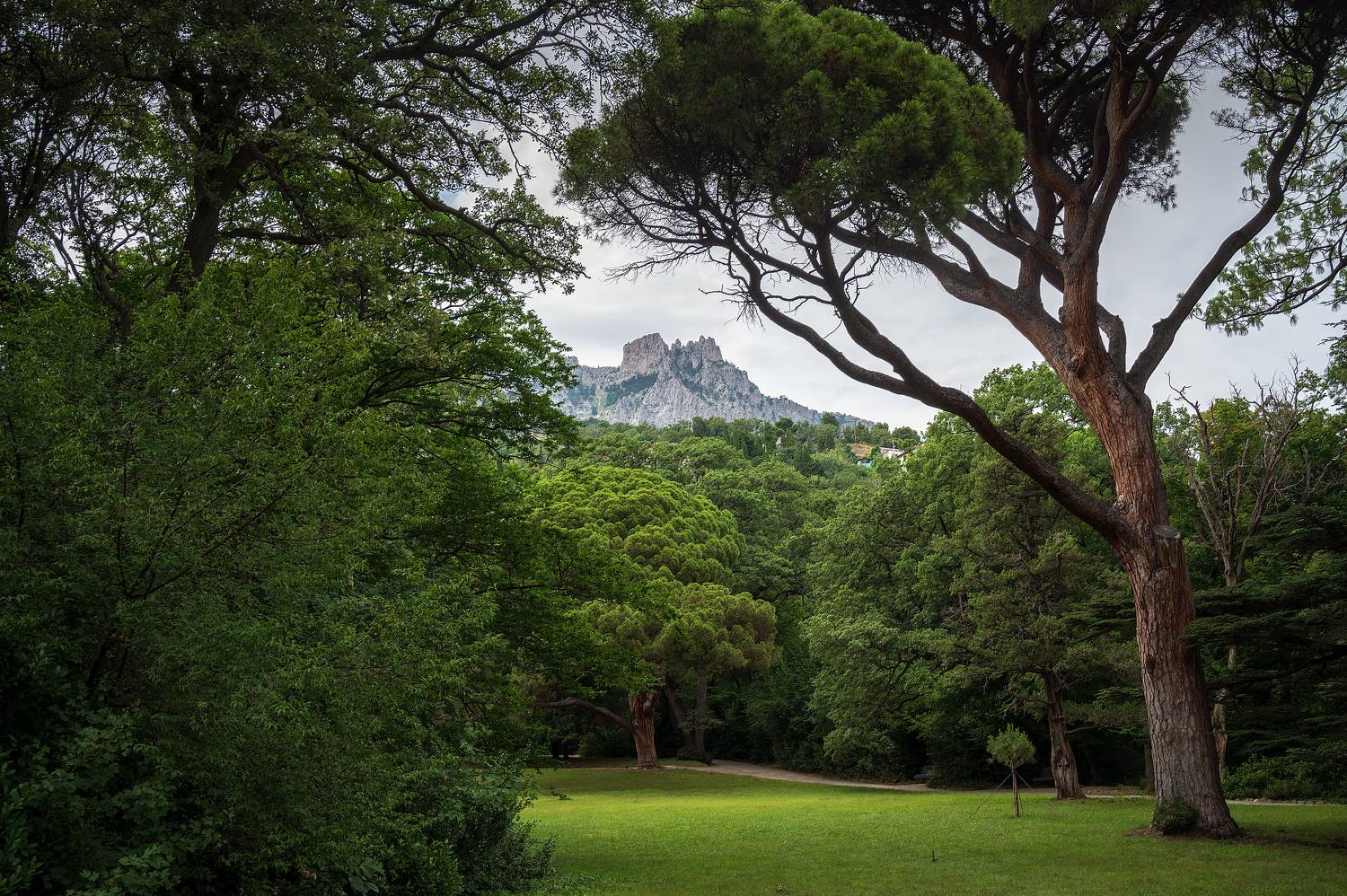 , Алексей Рыльский