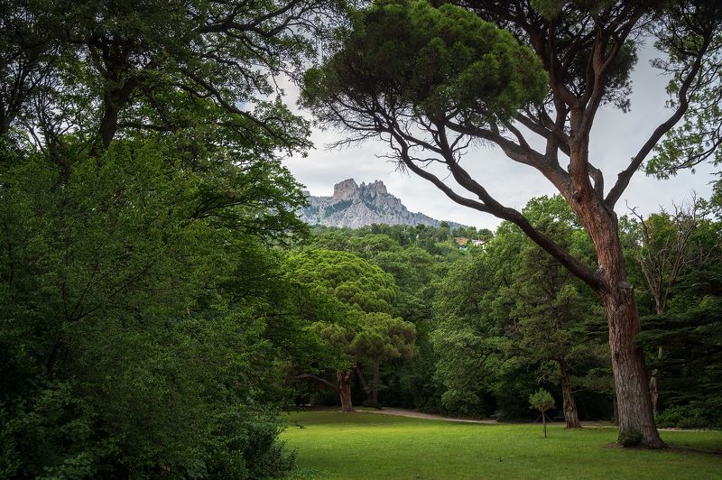 Тишина фото превью