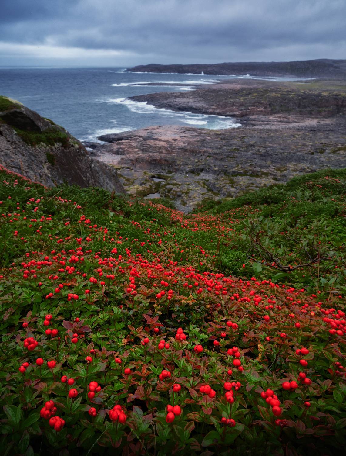 , Андрей Родионов