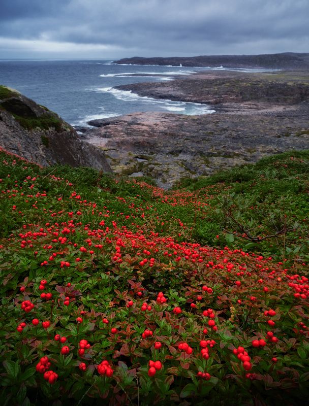 Кольский фото превью
