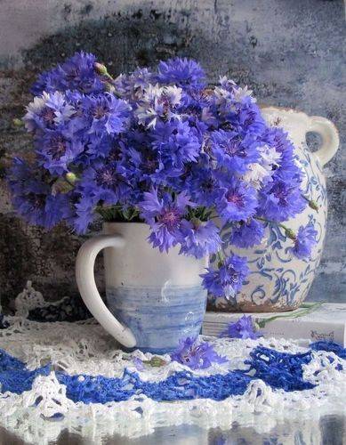 Синеглазки