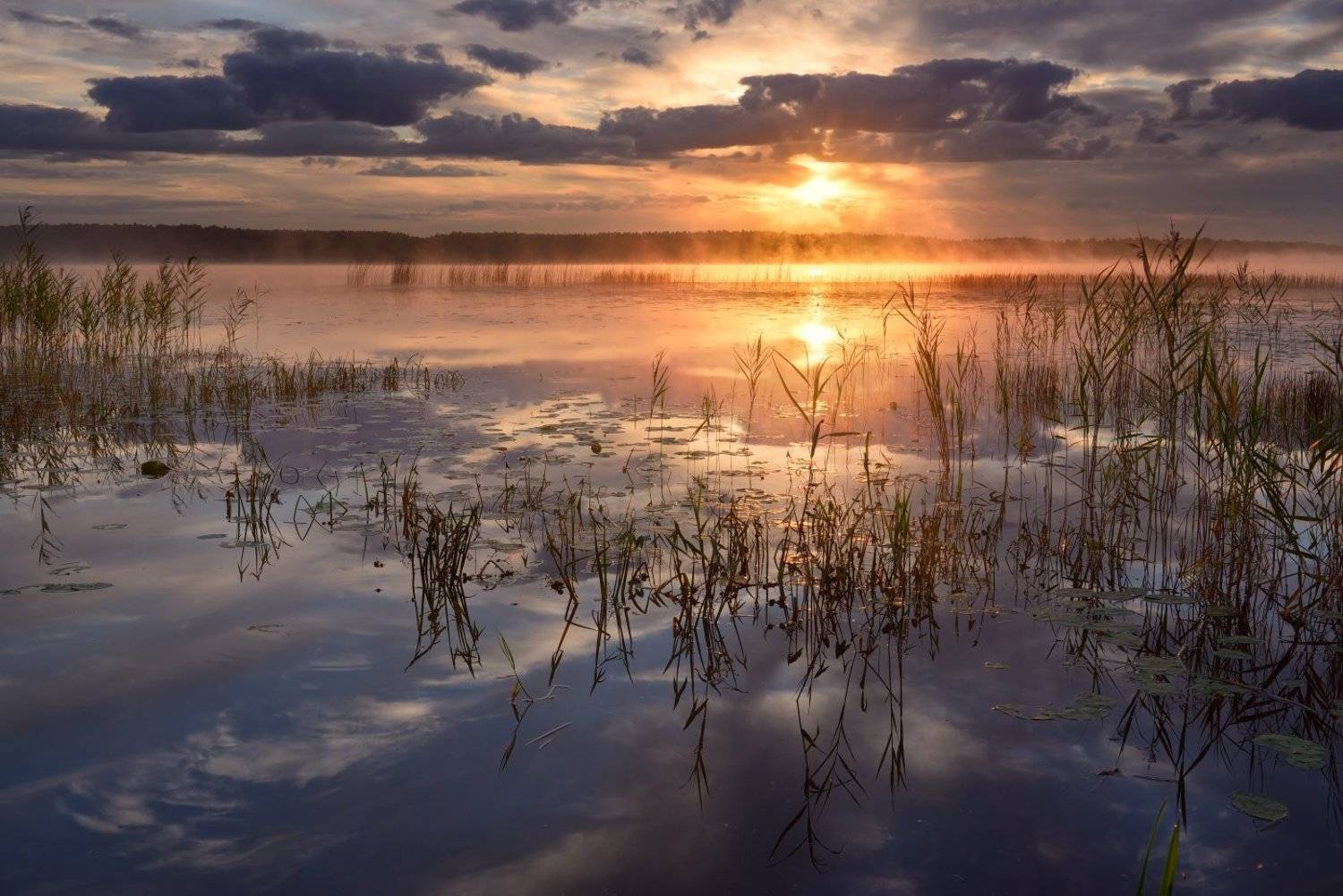 , Максим Евдокимов