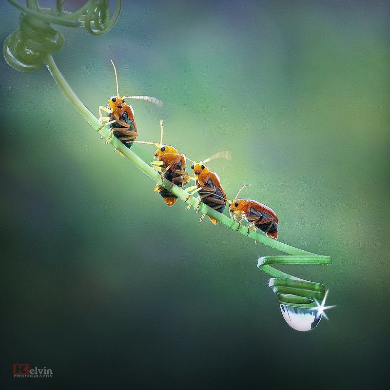 Cố lên nào фото превью