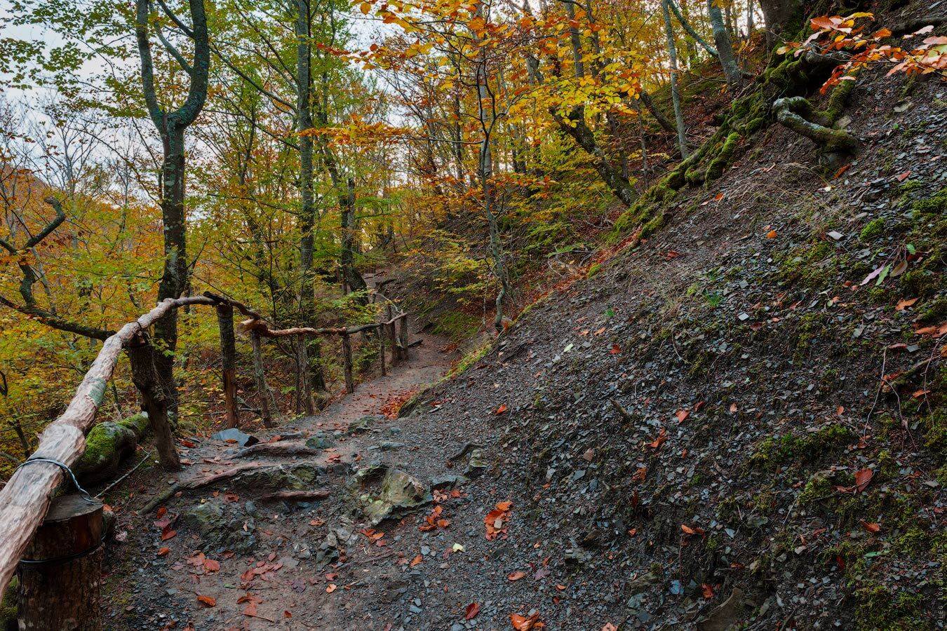 , Олег Логунов