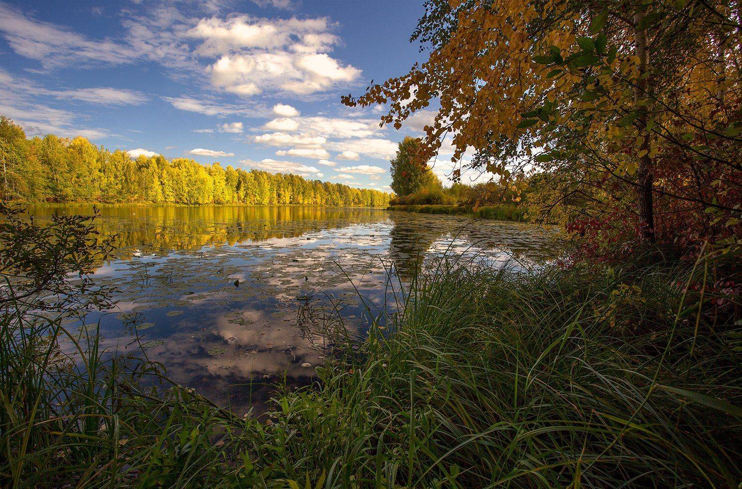 , Поташев Александр