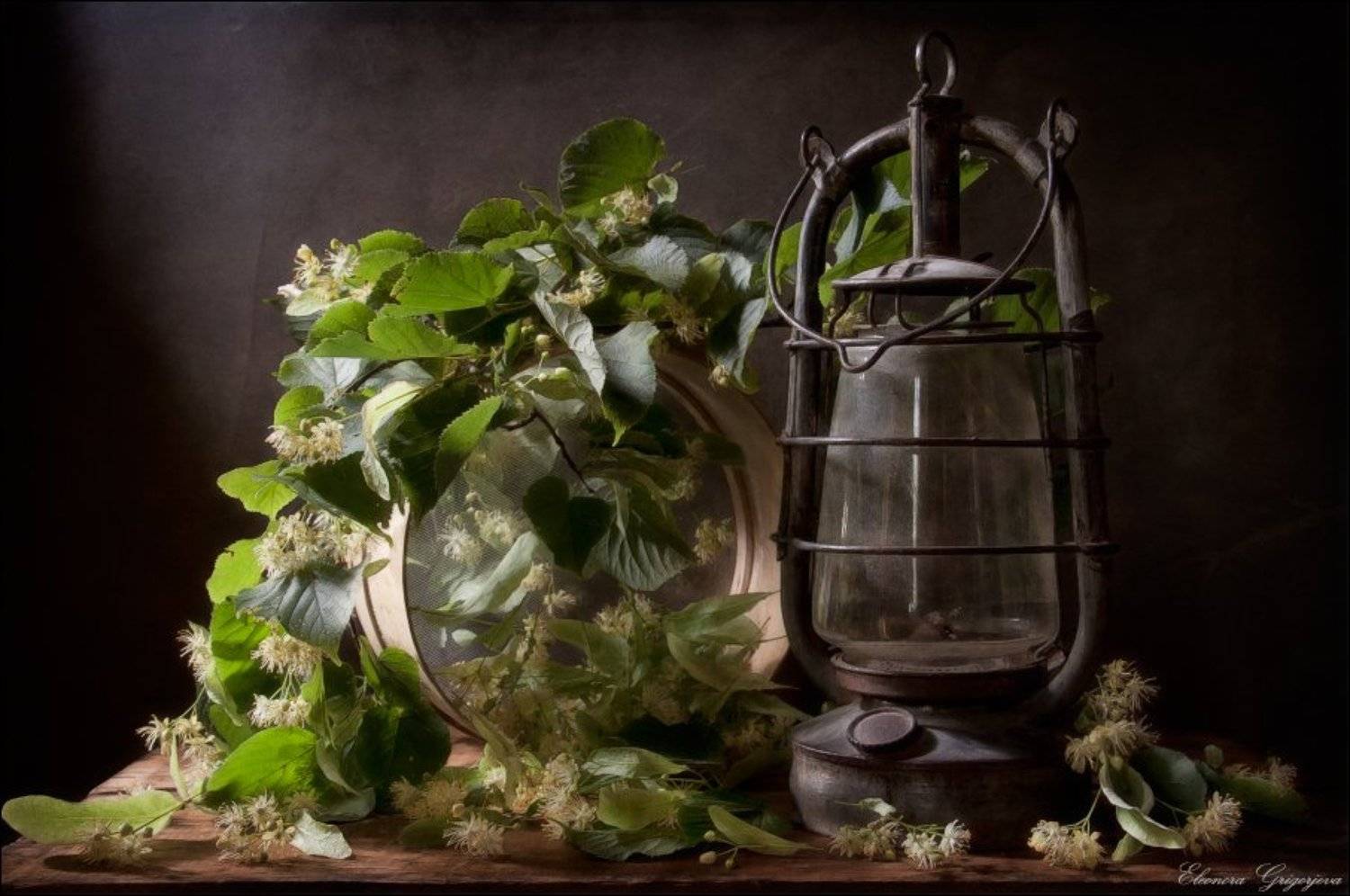 липа, липов цвет, натюрморт, Eleonora Grigorjeva