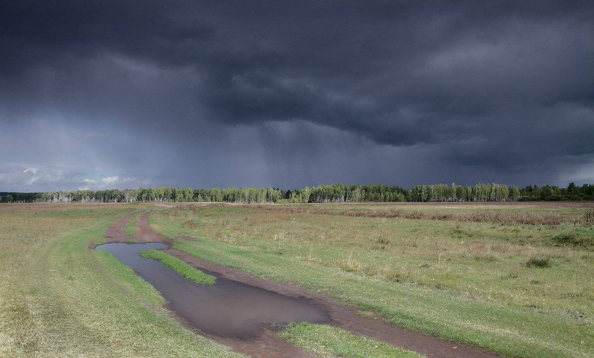 , Николай Морский