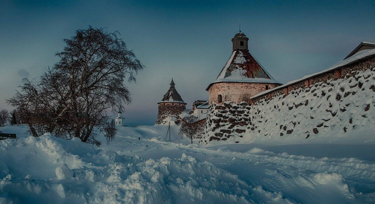, Владимир Липецких