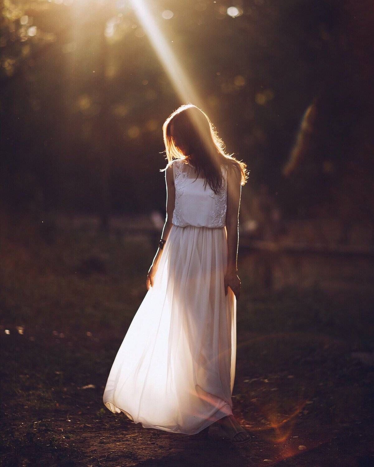 Солнце ; портрет, Василий Андреев