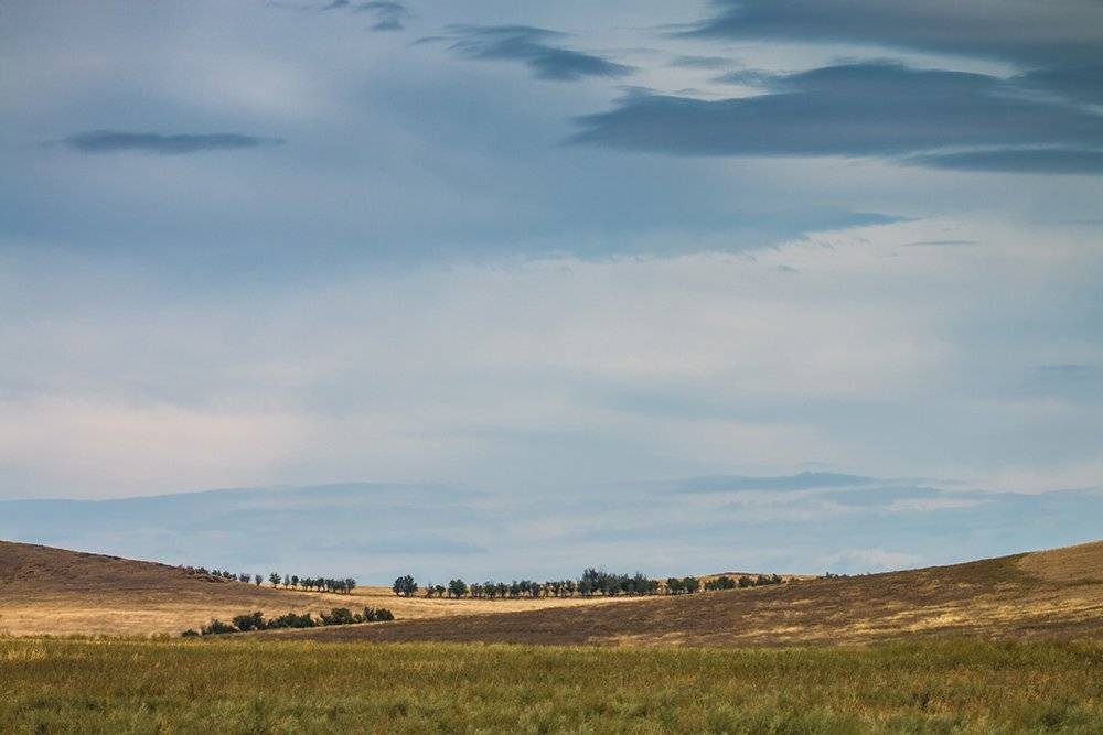, Василий Косивцов