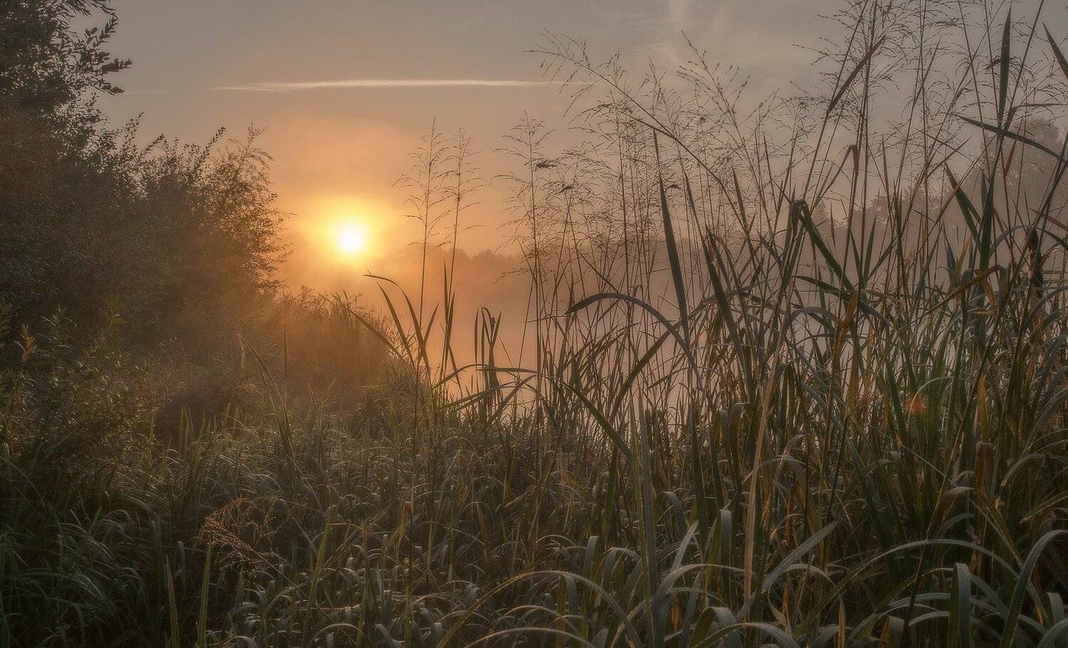 , Сергей Добровольский