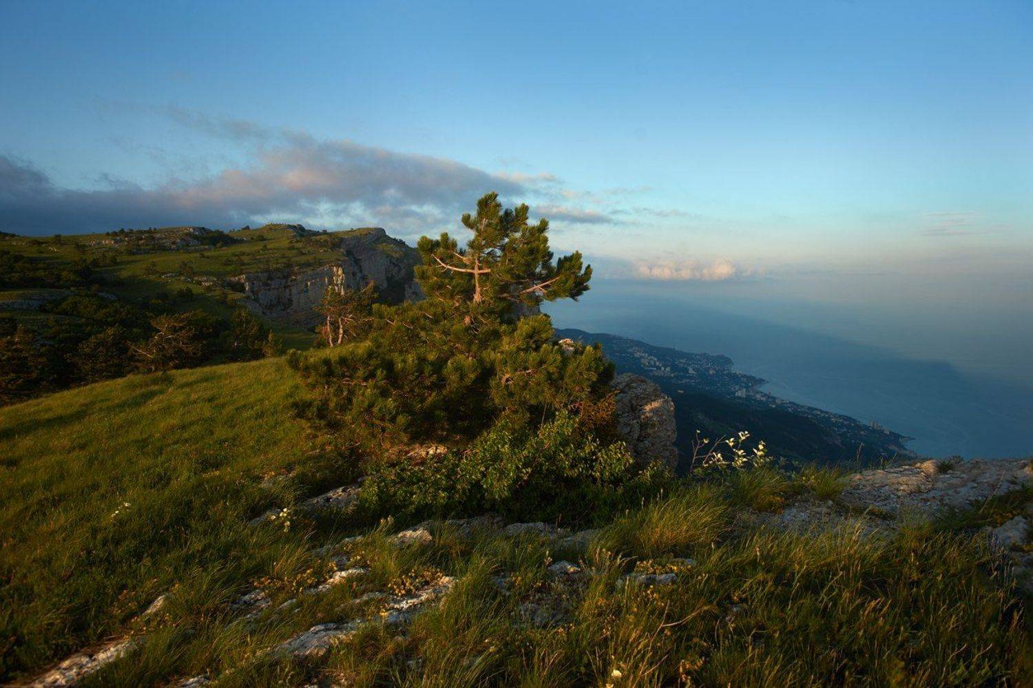 , Гоголев Андрей