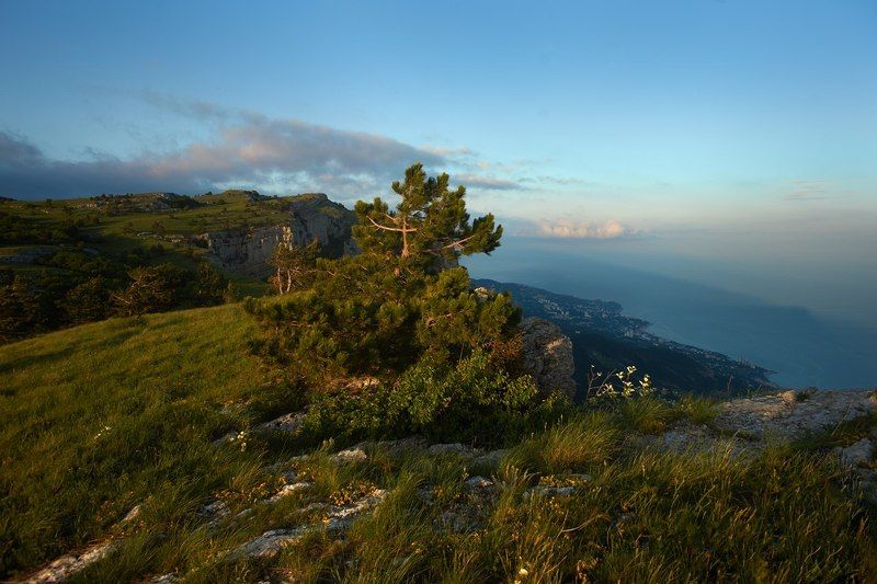 *** фото превью