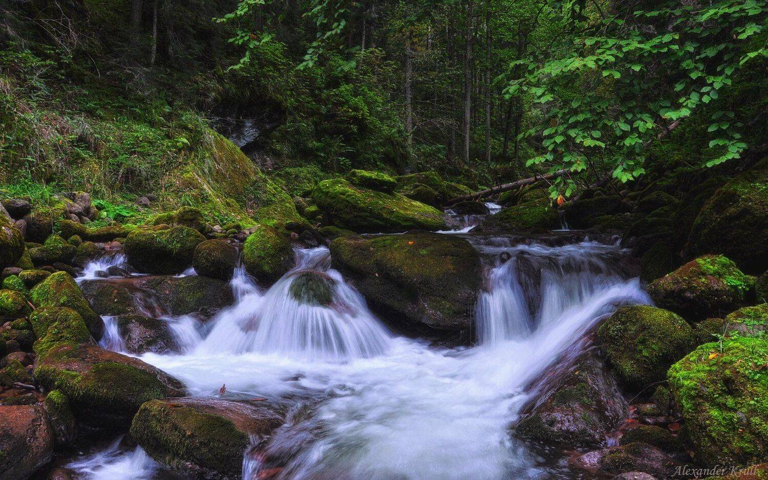 кавказ, кчр, Александр Круль