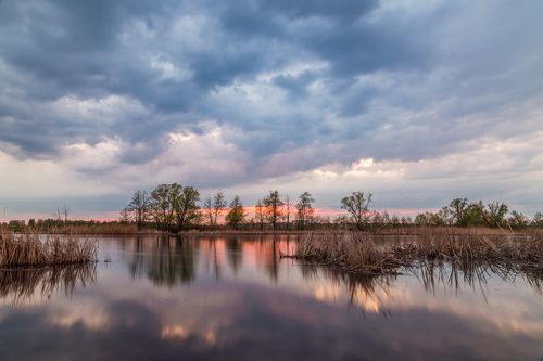 Майский вечер у реки Цна.
