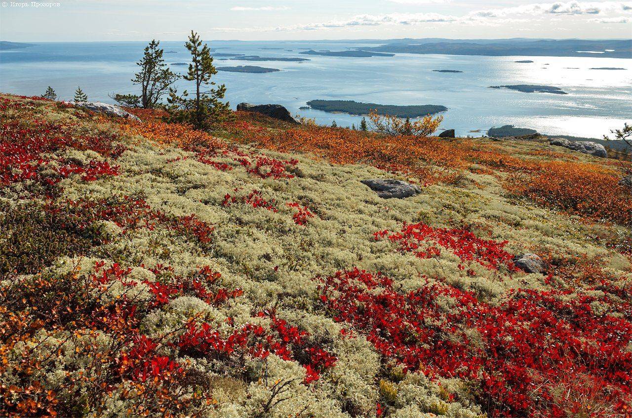 осень, пейзаж, кольский полуостров, Игорь Прозоров