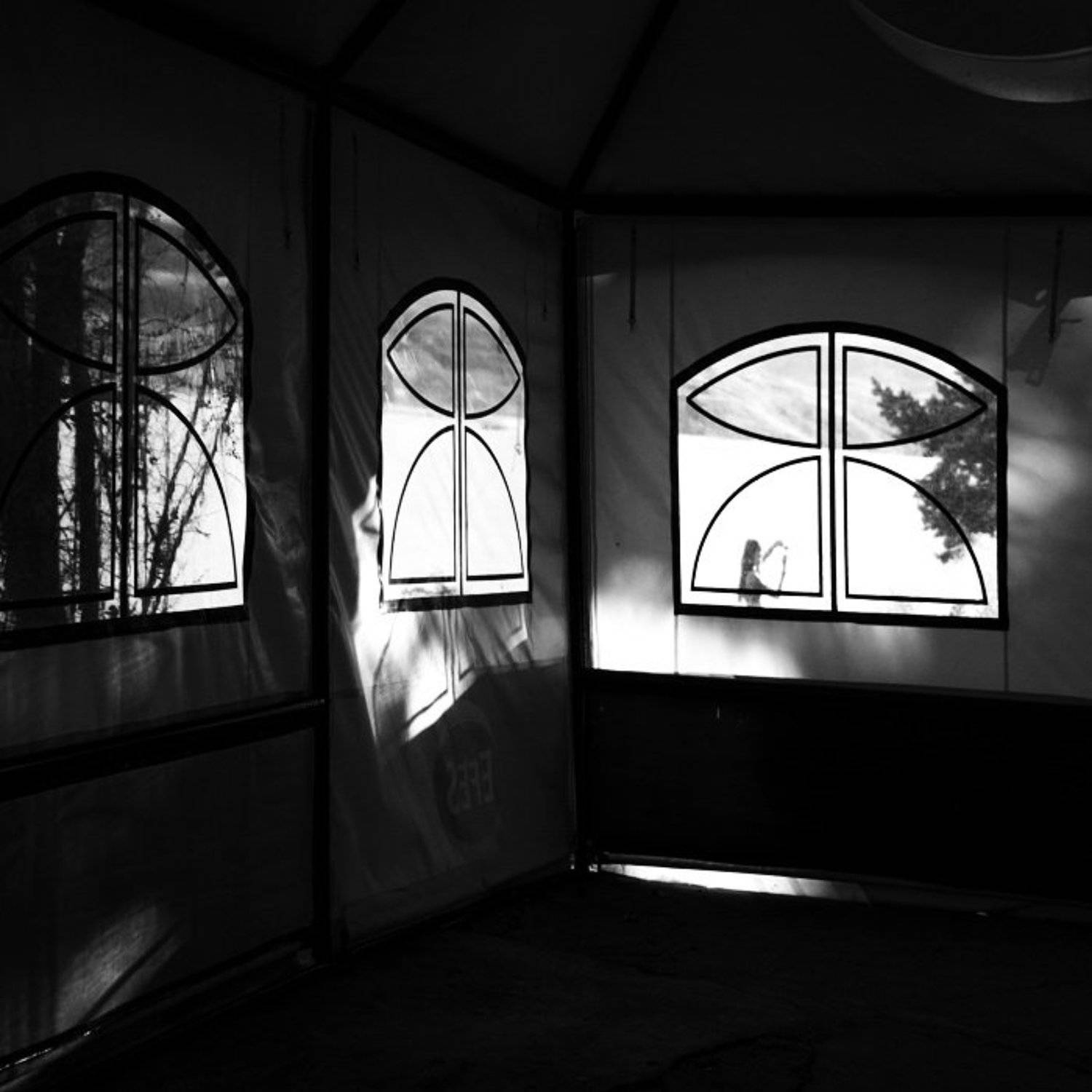 , Мира Голубь