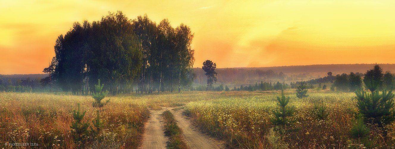 , Пантелеев Илья