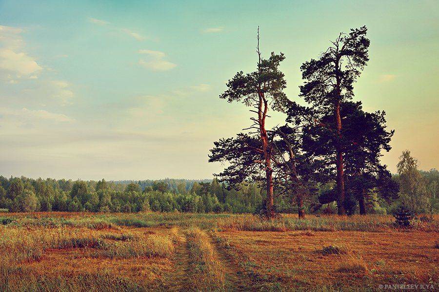 , Пантелеев Илья