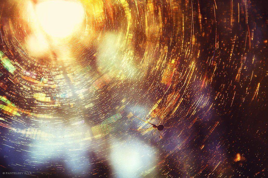 , Пантелеев Илья