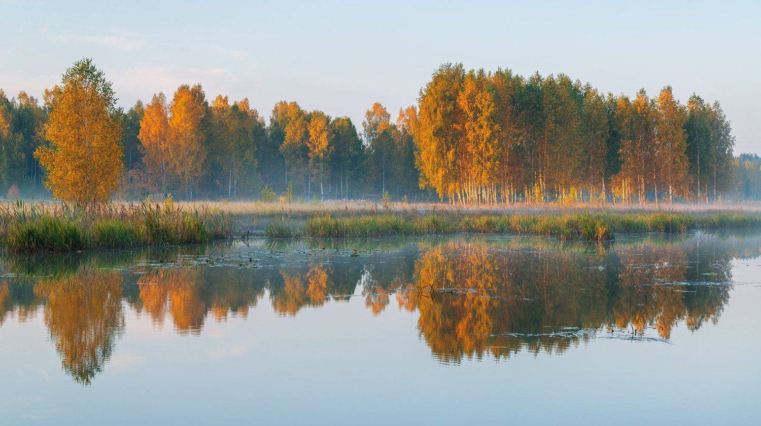 Золотая осень, Осенний пейзаж, Осенняя листва, Осень, Отражение, Пейзаж, Река, Средний урал, Урал, Чусовая, Вадим Балакин