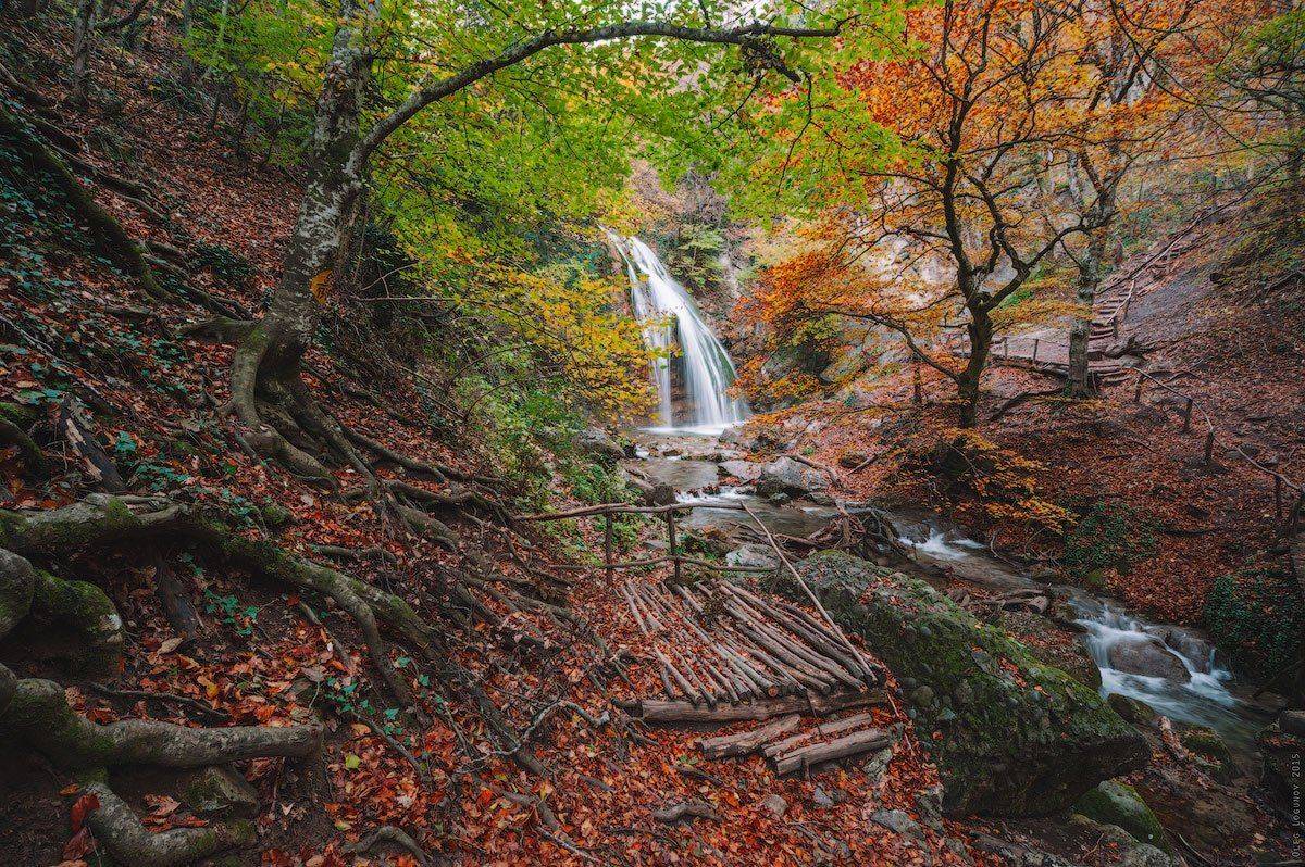 , Олег Логунов