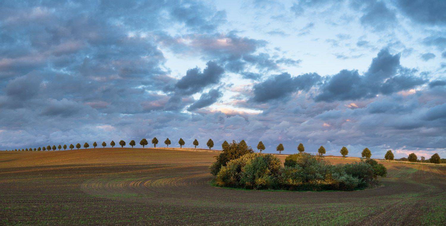 , Mariuszbrcz