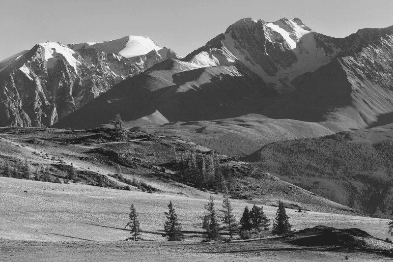 Алтай, Северо-чуйский хребет, Сибирь Алтай. Северо-Чуйский хребет. фото превью