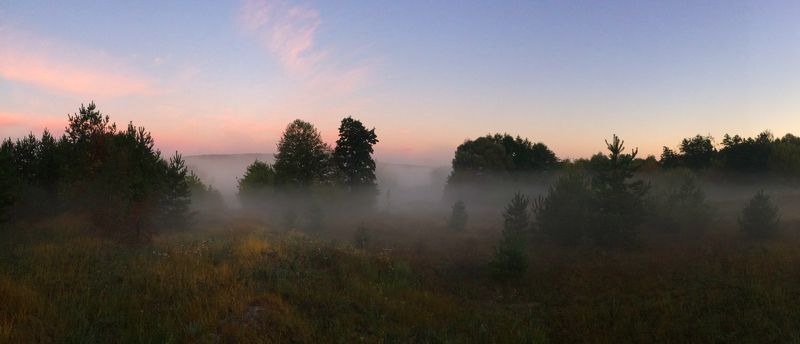 Утренняя прогулка фото превью