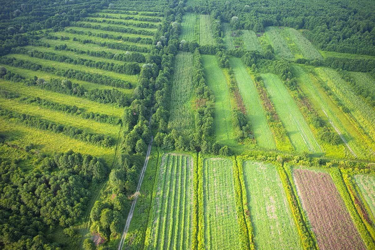 Абхазия, Кодор, поля, сады, аэро, aerial, Борис Резванцев