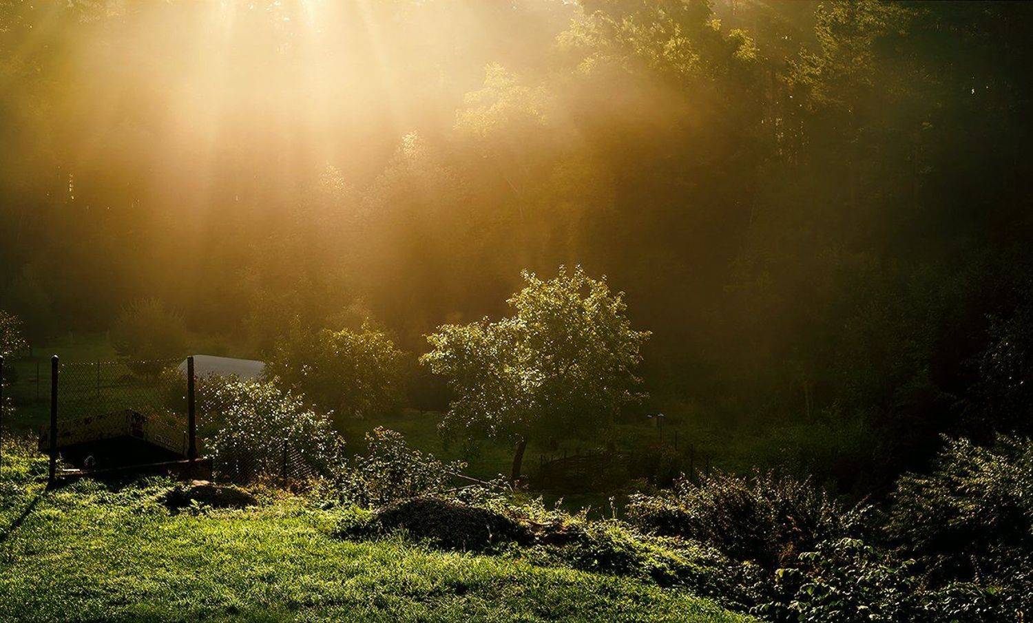 , Анна Кудрявцева