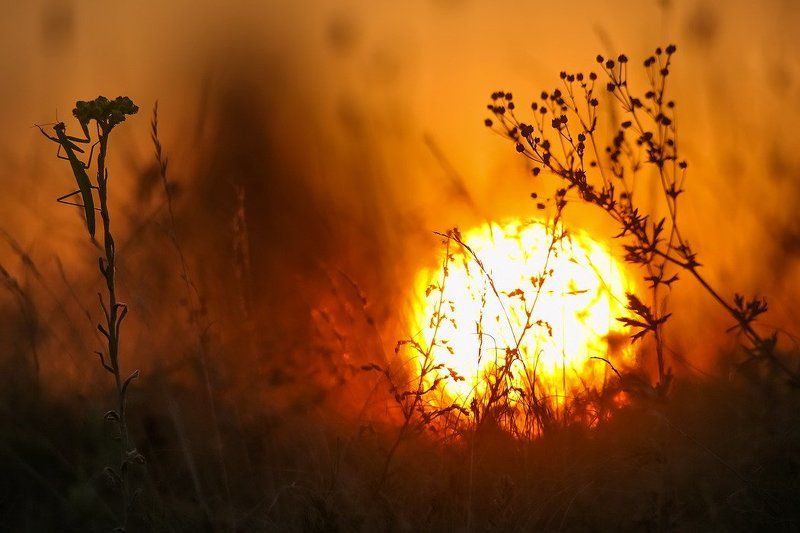 Прощай лето. фото превью