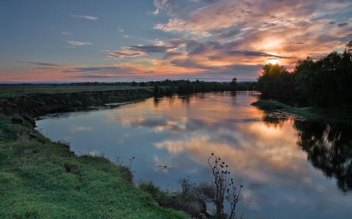 , Николай Морский