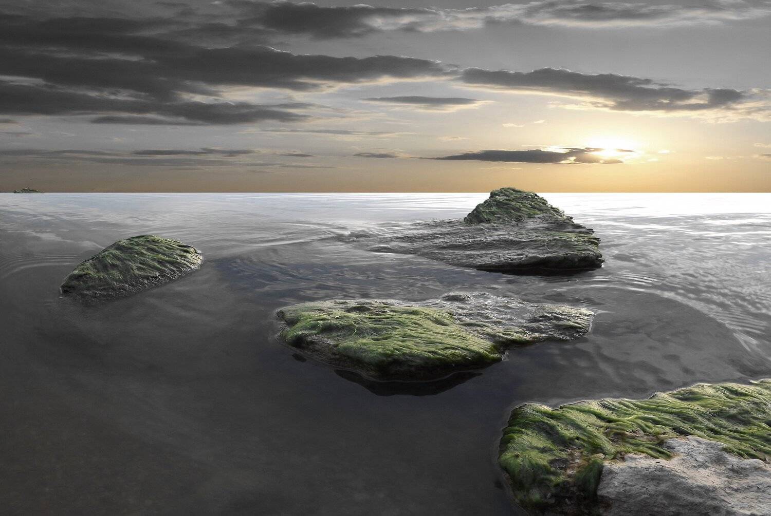 одесса, Сергей Кошелев