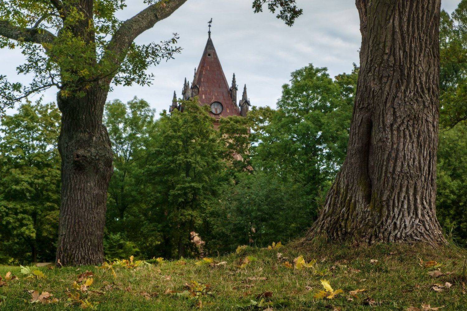 пушкин, царское, село, осень, александровский, екатерининский, парк, Илья Штром